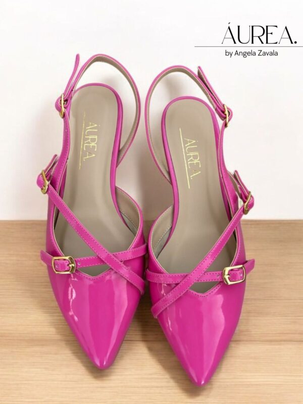 Modelo berry